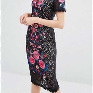 Oasis Embroidered Lace Pencil Dress
